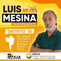 Luis Fernando Mesina Marin